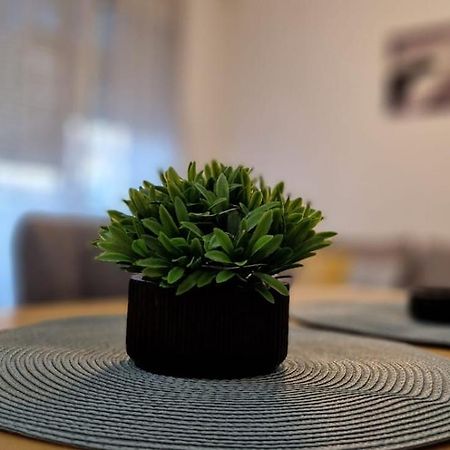 Apartment Luki Novi Sad Ngoại thất bức ảnh